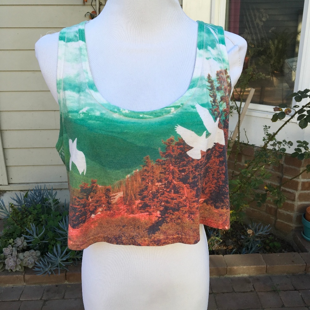 Young Hearts Run Free (Small) Crop Tank Top